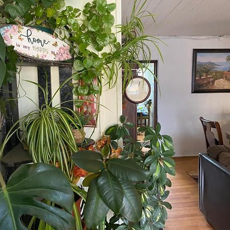 Hospedaje Familiar Glady'S House プエルトモント エクステリア 写真