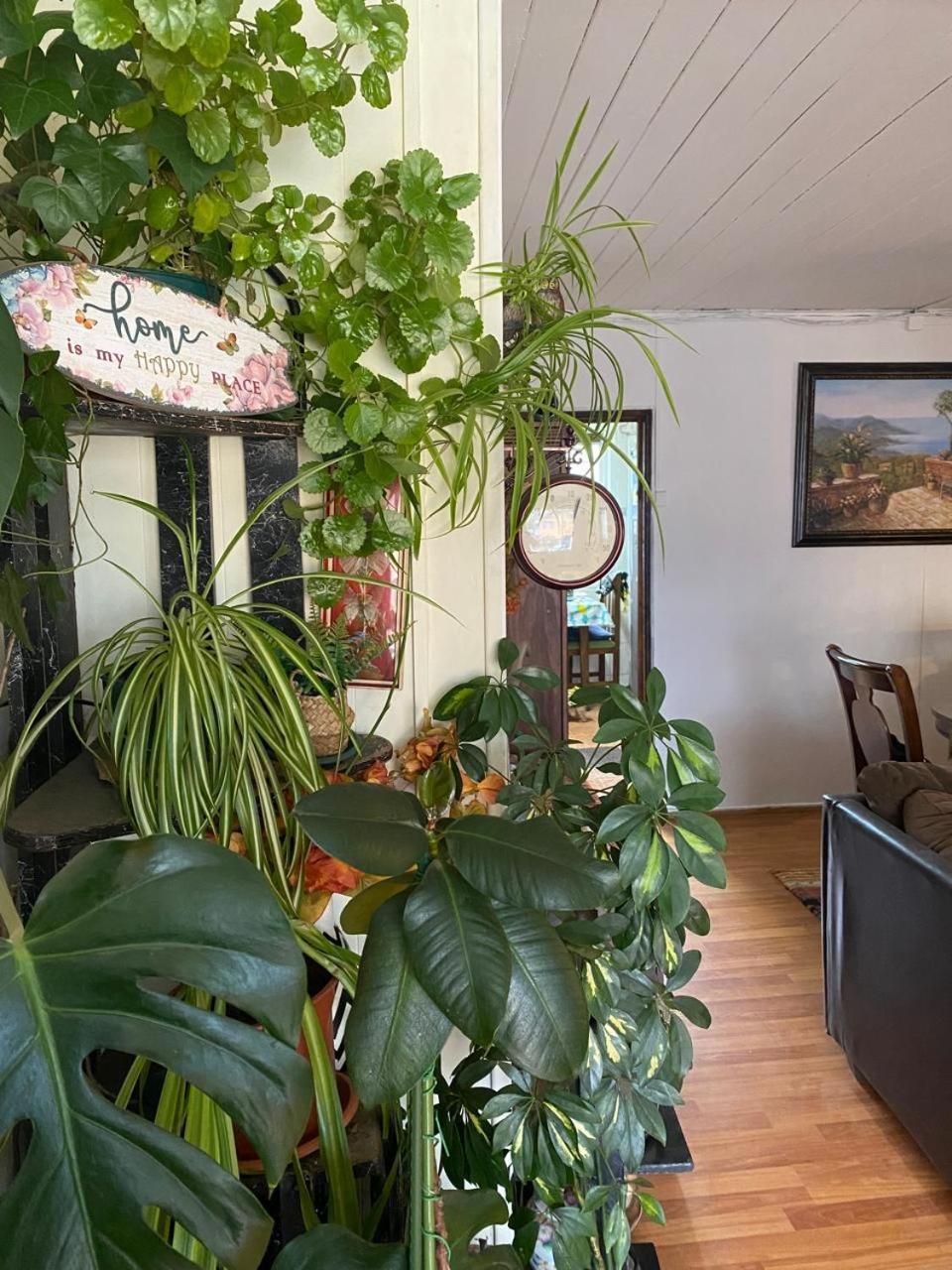 Hospedaje Familiar Glady'S House プエルトモント エクステリア 写真